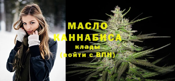 МДПВ Михайлов