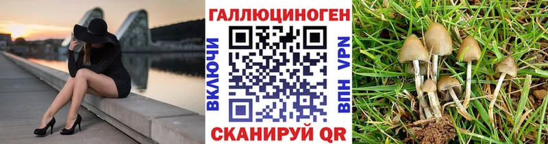 Псилоцибиновые грибы Psilocybine cubensis  Купить  Хабаровск